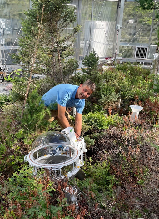 Moss research in the field