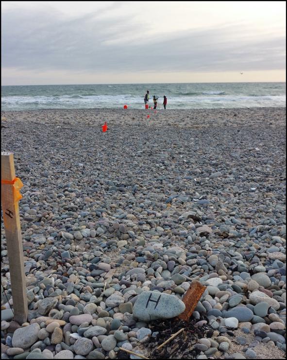 Transect of rocky New England beach