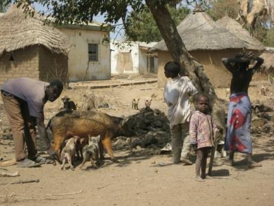 A Village in Northern Cameroon