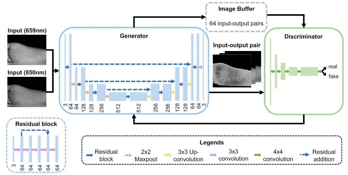 The OxyGAN framework.