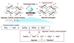 CO₂-Based Gelation Process: Mixing Alginate, Calcium Carbonate, and Carbonated Water