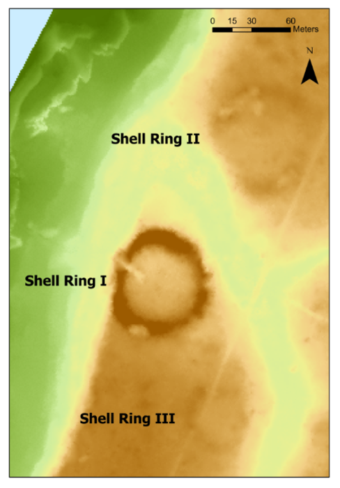 LiDAR map showing the Sapelo Island Shell Ring Complex