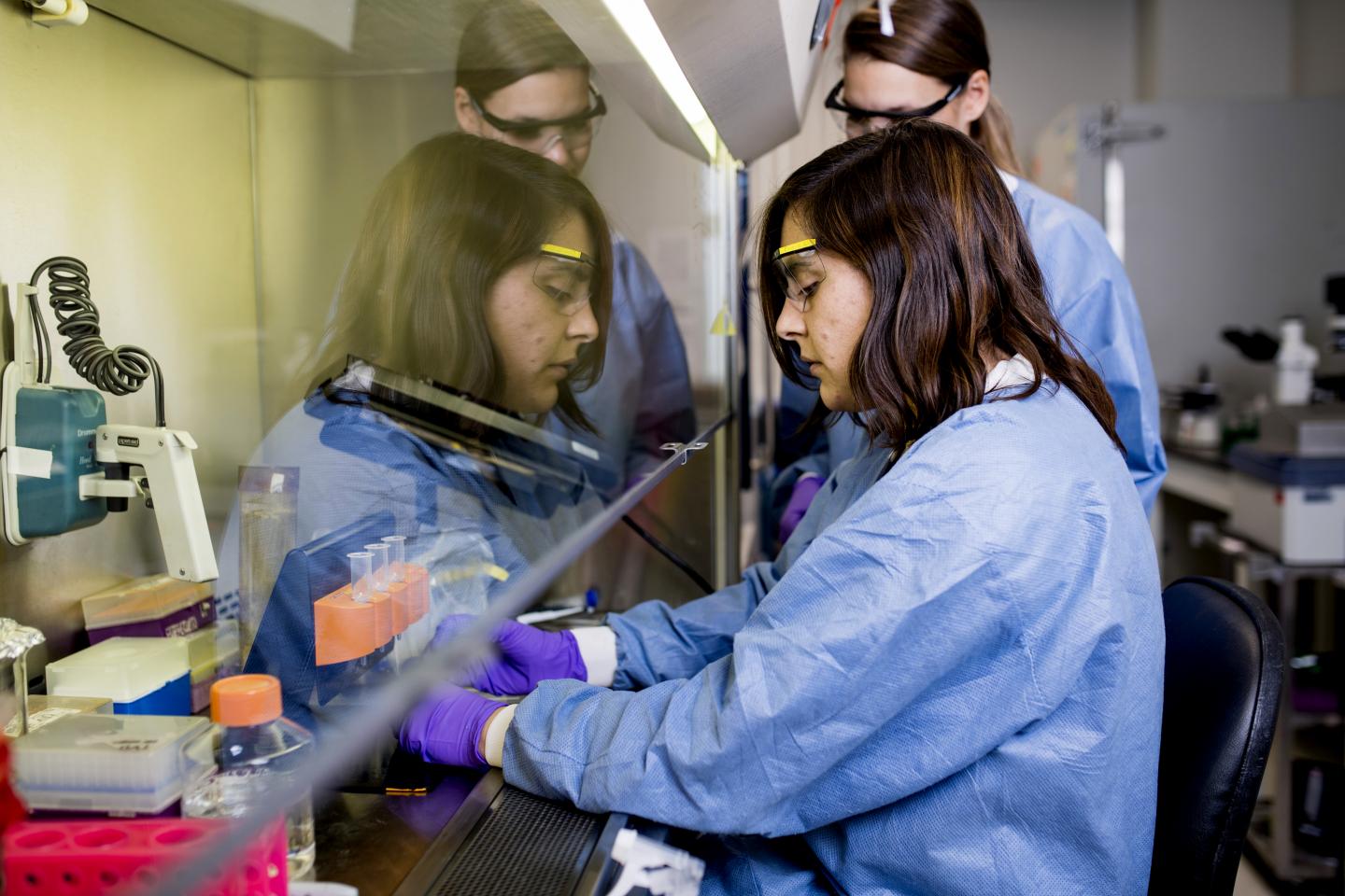 Dr. Carla Alvarez, a postdoctoral researcher at Forsyth and lead author of the paper.