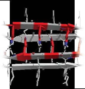 Graphical illustration of the polyQ nucleus