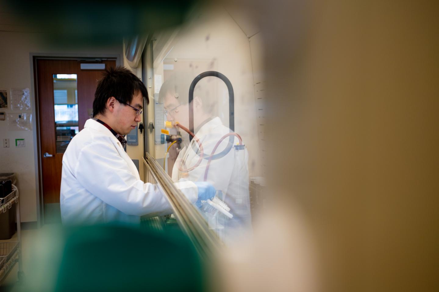 Zhenyu Tian Prepares a Sample