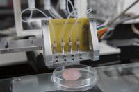 3-D Printing Process Could Help Treat Incurable Diseases (2 of 3)
