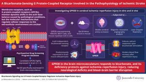 Innovative therapies for ischemic stroke: Nov - Vimarsana News