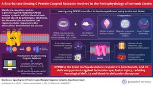 Regulation of ischemia-reperfusion injury through a bicarbonate-sensitive G protein-coupled receptor.