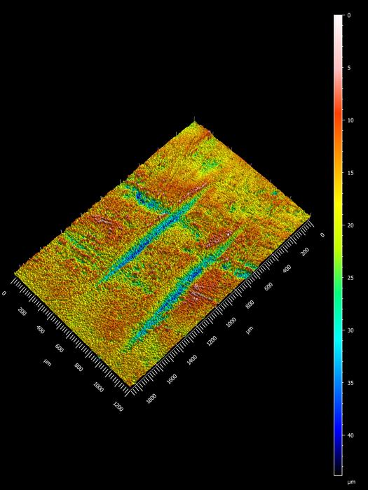 3D model of marks 7 and 8 identified as cut marks