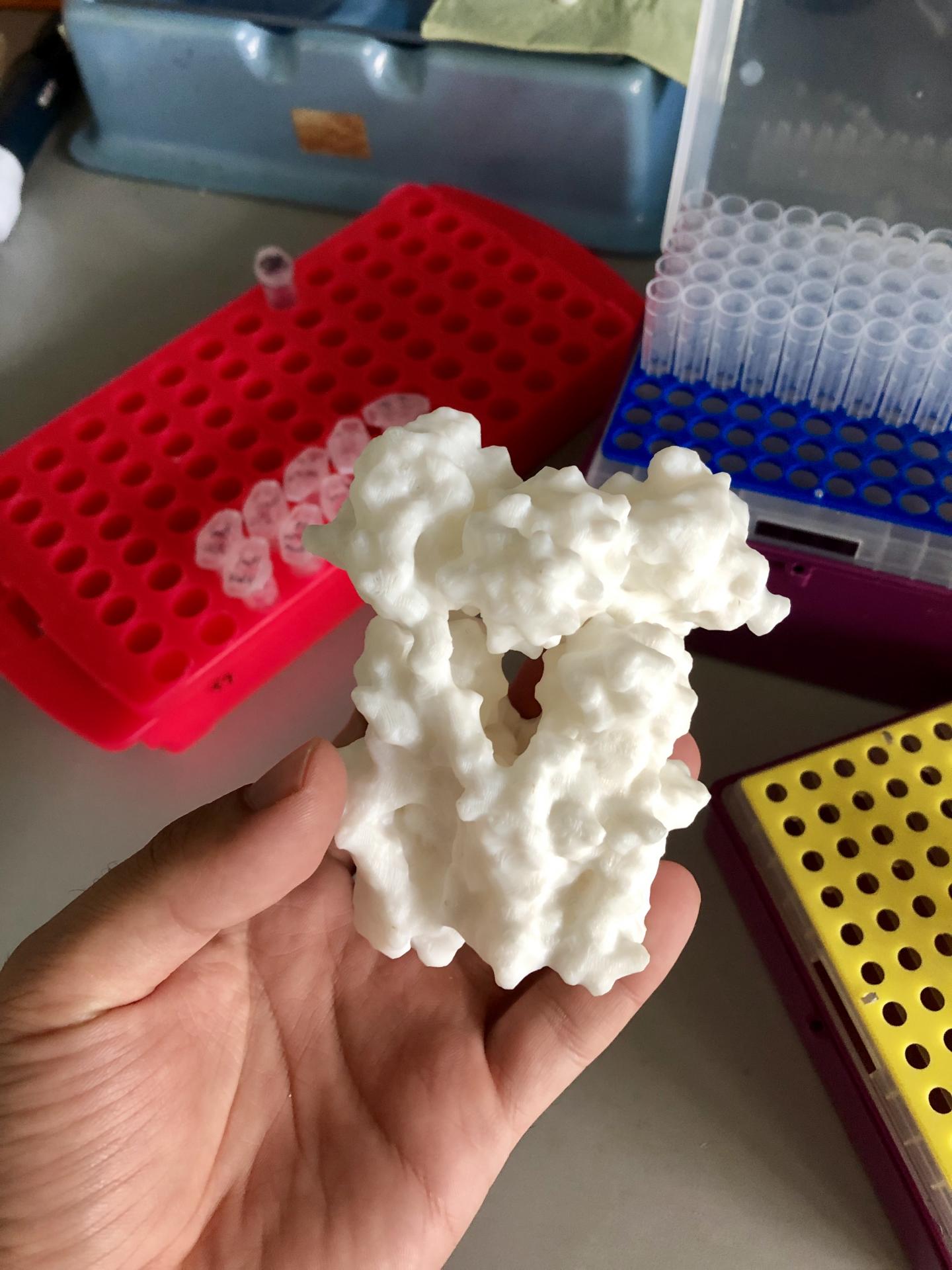 3-D Printed NNT
