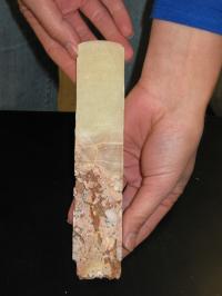 Slice of Stalagmite Core