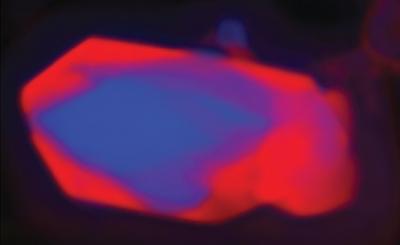 Lithium Iron Phosphate