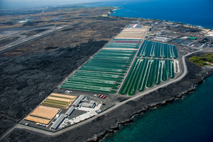 Algae-based food goes global: scaling up marine aquaculture to produce nutritious, sustainable food