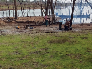 Farmers clearing trees along the rivers to begin cultivation at Bui National Park.