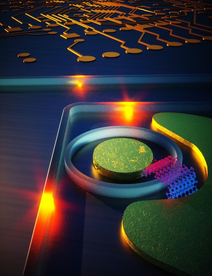 A Strain Engineered 2D Photodetector on Silicon Photonic Circuit