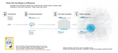 Seafood Print: What We Eat Makes a Difference