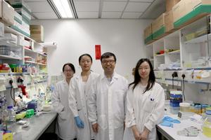 Group Photo of Prof. GUO Yusong and his team members