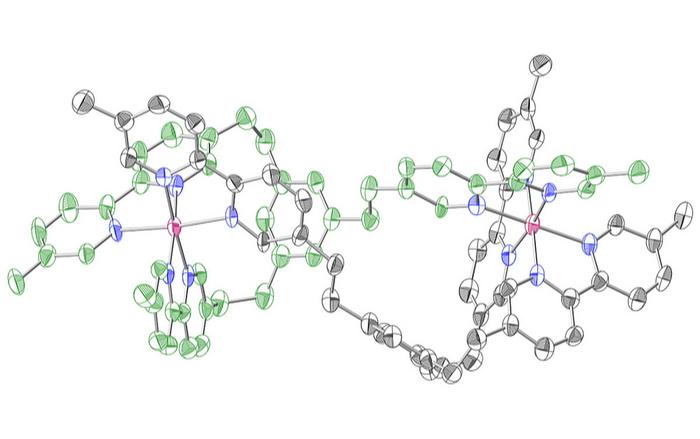 ORTEP drawing of the crystal structure of dinuclear ruthenium complex