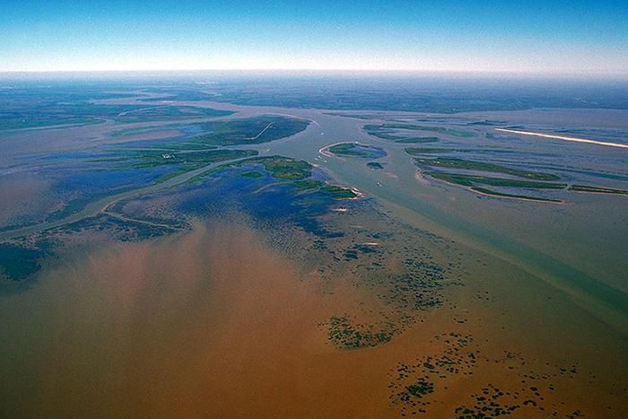 Atchafalaya Basin