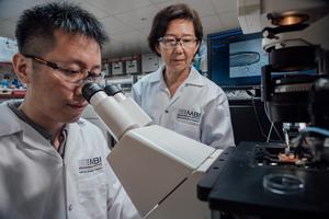 Research by NUS Mechanobiology Institute-1