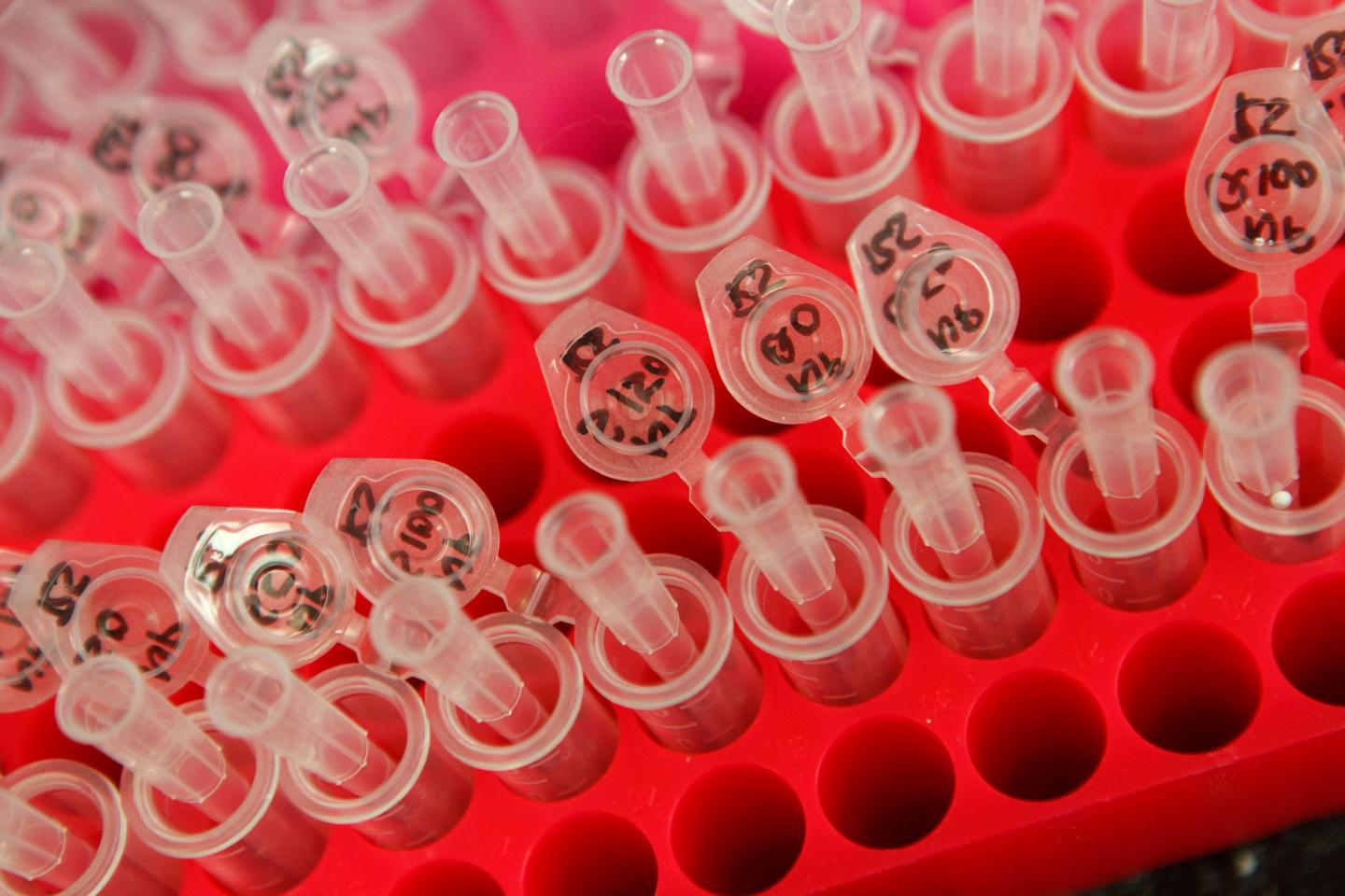 Validated Antibodies