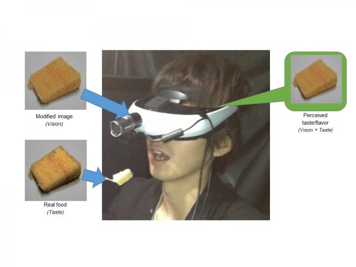 Crossmodal effect of visual information to taste/flavor perception