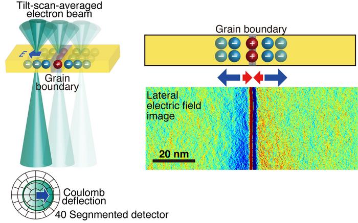 Overview of this study