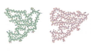 Building blocks of TMEM106B fibers