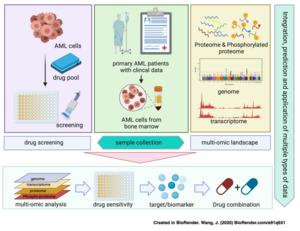 Integrative proteogenomic and pharmacological landscape of acute myeloid leukaemia