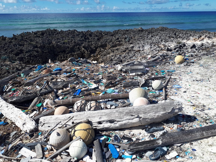 Plastic waste in the Indian Ocean 1