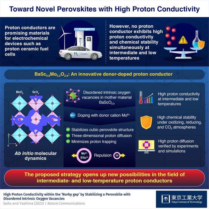 Toward Novel Perovskites with High Proton Conductivity