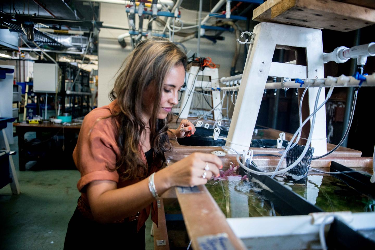 Alexandra Schnell at the Marine Biological Laboratory