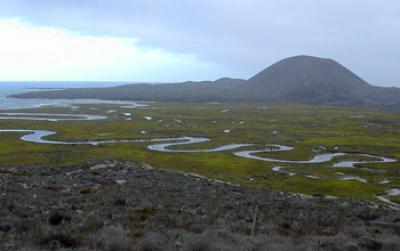 Bahia Falsa in Mexico