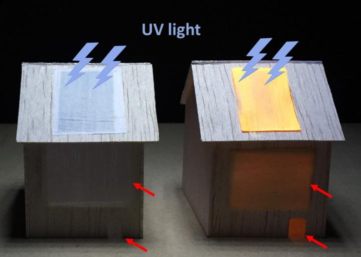 Luminescent Wood Could Light Up Homes of the Future