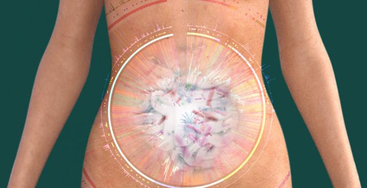 Exploring the Gut Microbiome Using Computational Tools