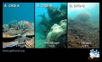 Scenarios for Coral Reefs