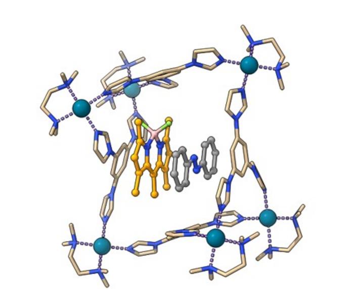 Molecular Cage hosts an Azobenzene and a Photosensitizer