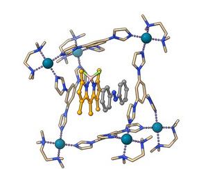 Molecular Cage hosts an Azobenzene and a Photosensitizer