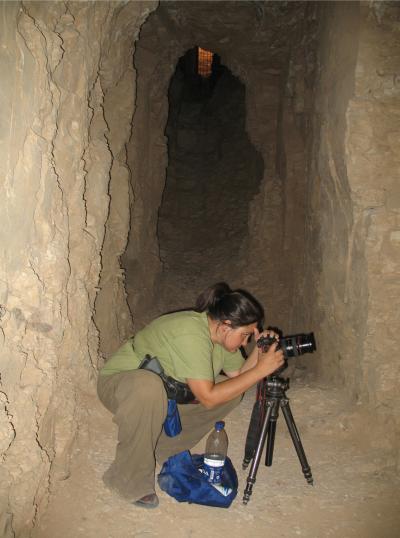 Karen Parizak, Penn State