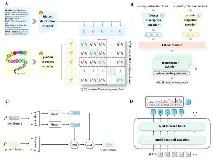 Constructed protein editing model