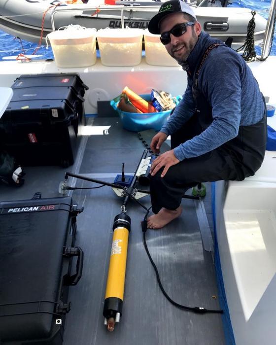 Big teeth, bigger data