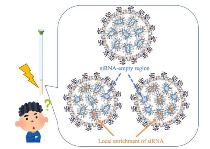 Molecular Heterogeneity in siRNA-Loaded LNPs