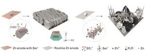 Novel Strategy Proposed to Stabilize Zinc-ion Batteries