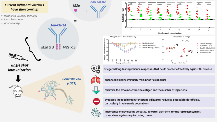 Graphical Abstract