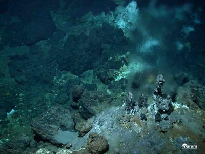 Hydrothermal Vent