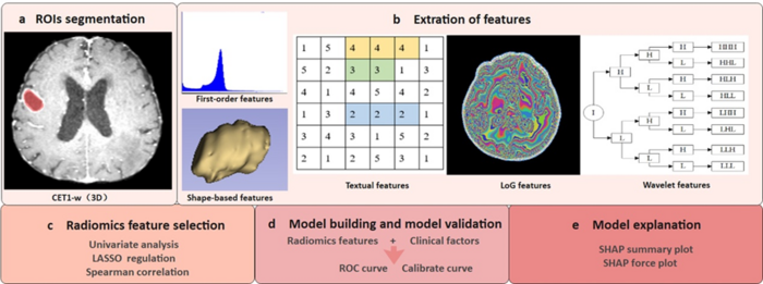 Novel Radiomic Model Helps Predict the Treatment Response of Radiotherapy in Patients with Brain Metastases