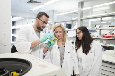Dr. Nick Huntington, Rebecca Delconte and Dr. Priyanka Sathe, Walter and Eliza Hall Institute