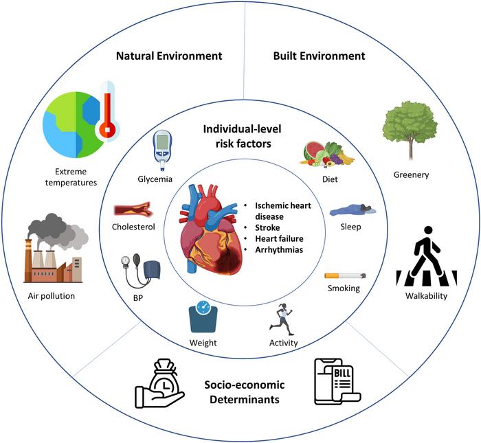 Features of the exposome associated with cardiovascular health