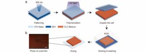 Figure 1 | Schematic Diagram of the Preparation Process for Pattern-Encoded, Humidity-Responsive CLCP Films.