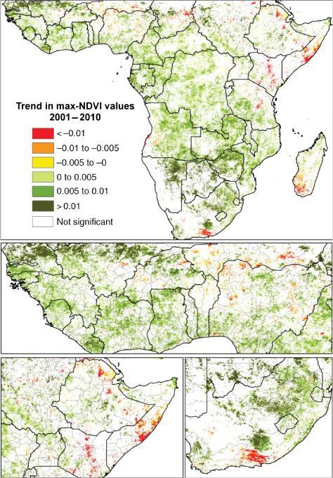 Trend in Vegetation Greenness: 10 Years